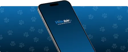 Banner for hellozoo mobile app