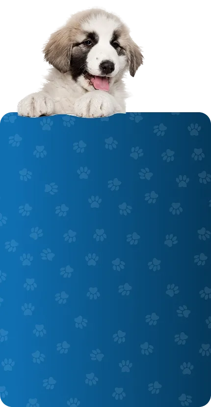 Inscription à la newsletter